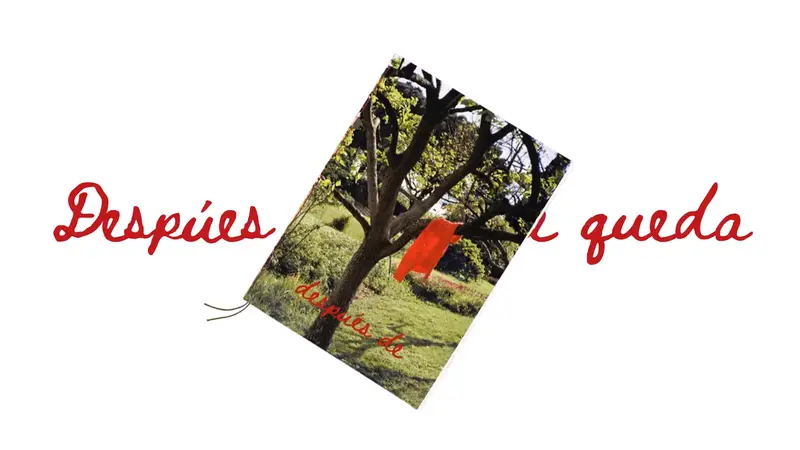 Después de lo que queda photonovel: a red sweater hanging from a tree in a green park